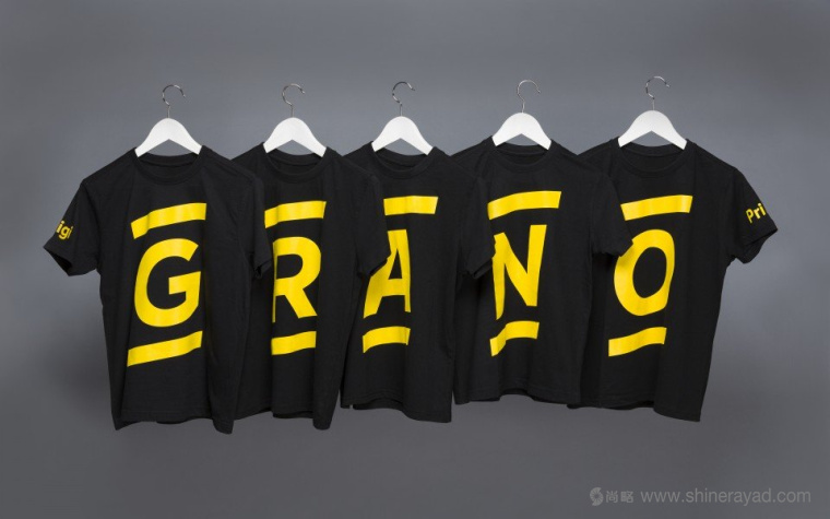Grano 數字印刷公司IT科技品牌LOGO設計-上海LOGO設計公司設計鑒賞2