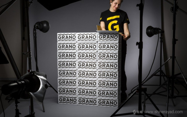 Grano 數字印刷公司IT科技品牌LOGO設計-上海LOGO設計公司設計鑒賞3