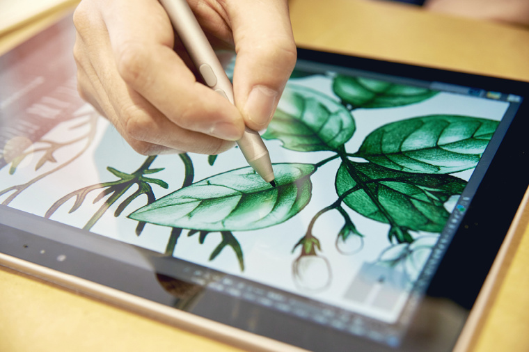 香圃芳香生活用品品牌手繪插畫設(shè)計25