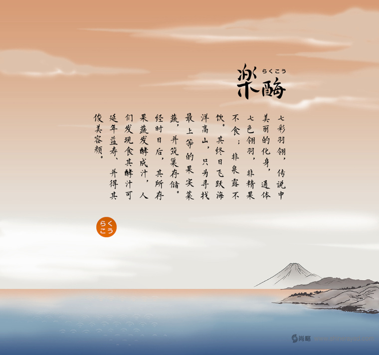 臺灣樂酶酵素品牌LOGO設計與包裝設計-上海包裝設計公司包裝佳作欣賞12
