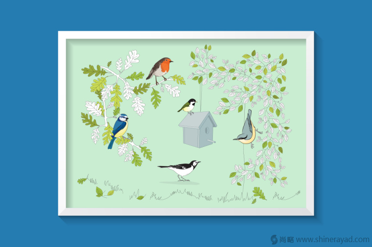 英國鳥類插畫設(shè)計-上海插畫設(shè)計公司-上海品牌設(shè)計公司2