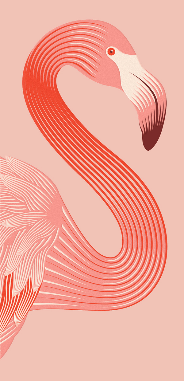上海包裝設(shè)計公司設(shè)計欣賞：火烈鳥玫瑰酒包裝設(shè)計6