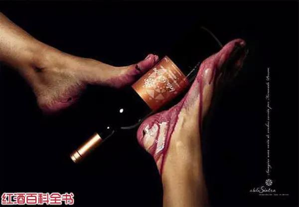 A BelaSintra葡萄酒平面廣告創(chuàng)意設(shè)計1