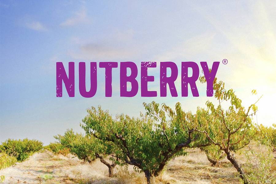 Nutberry 健康有機食品干果品牌塑造之標志設計1