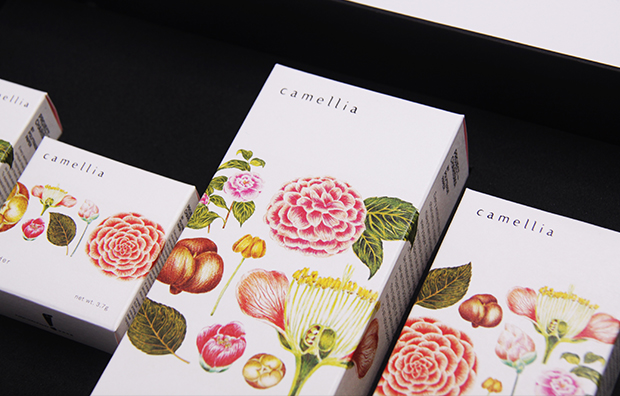 上海化妝品包裝設(shè)計公司設(shè)計研究：CAMELLIA 山茶花化妝品包裝設(shè)計3