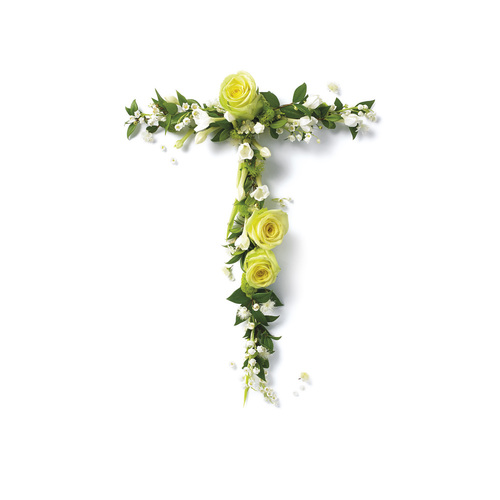 T花卉字母