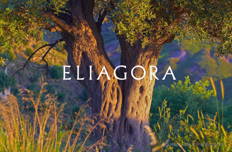 上海包裝設計公司設計欣賞 ELIAGORA olive oil 特級初榨橄欖油包裝設計1