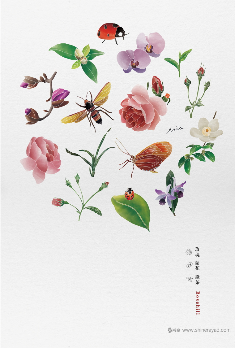 Rosehill 面膜包裝插畫設計-上海化妝品包裝設計公司4