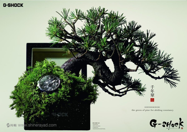 G-shock 手表“松樹長青”盆景篇平面廣告創(chuàng)意設(shè)計-上海設(shè)計公司