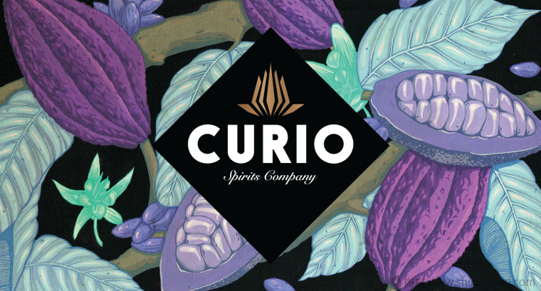 國外手繪植物花卉插畫風(fēng)格洋酒包裝設(shè)計(jì)-curio杜松子酒和伏特加酒包裝設(shè)計(jì)1