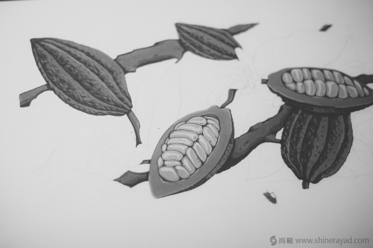 國外手繪植物花卉插畫風(fēng)格洋酒包裝設(shè)計(jì)-curio杜松子酒和伏特加酒包裝設(shè)計(jì)4