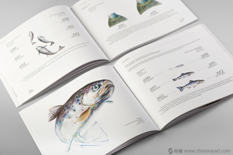 上海畫冊(cè)設(shè)計(jì)公司欣賞拯救瀕臨滅絕動(dòng)物宣傳畫冊(cè)設(shè)計(jì)與動(dòng)物藝術(shù)插畫設(shè)計(jì)4