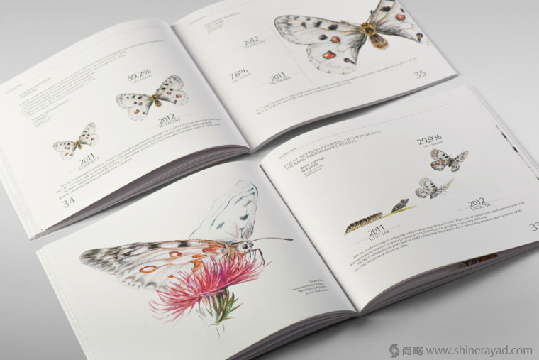 上海畫冊(cè)設(shè)計(jì)公司欣賞拯救瀕臨滅絕動(dòng)物宣傳畫冊(cè)設(shè)計(jì)與動(dòng)物藝術(shù)插畫設(shè)計(jì)6
