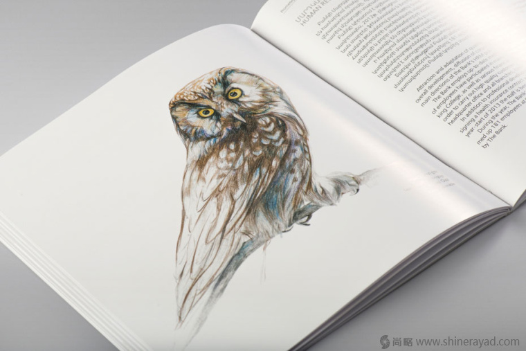 上海畫冊(cè)設(shè)計(jì)公司欣賞拯救瀕臨滅絕動(dòng)物宣傳畫冊(cè)設(shè)計(jì)與動(dòng)物藝術(shù)插畫設(shè)計(jì)14
