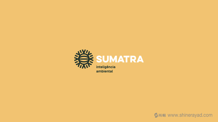 Sumatra 智能安全環(huán)境系統(tǒng)logo設(shè)計(jì)VI設(shè)計(jì)-上海logo設(shè)計(jì)5