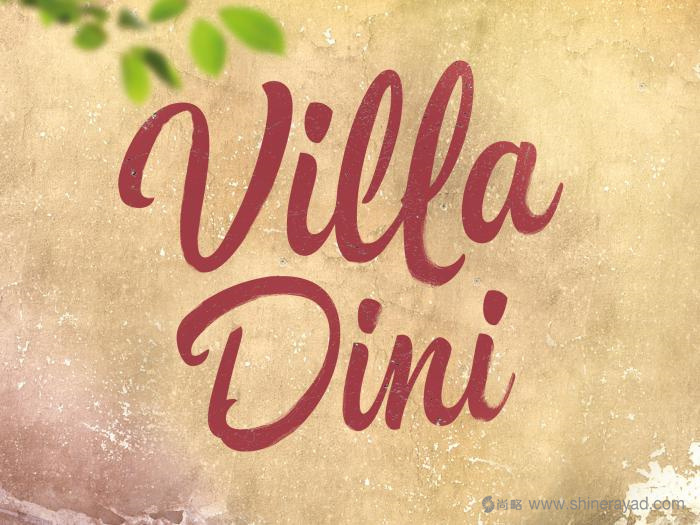 上海包裝設(shè)計(jì)-Villa Dini 水墨風(fēng)格水果飲料包裝設(shè)計(jì)-logo設(shè)計(jì)2
