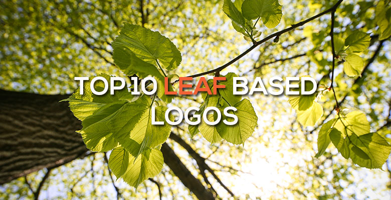 上海尚略logo設(shè)計公司分享：10個最佳的葉子logo設(shè)計