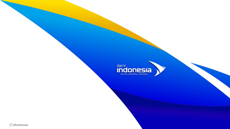 SKY INDONESIA航空公司logo設(shè)計(jì)：代表印尼航空安全\精準(zhǔn)\效率文化\友好的箭鳥logo