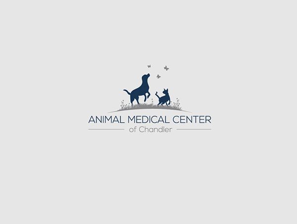 動物醫療中心-動物護理中心標志設計