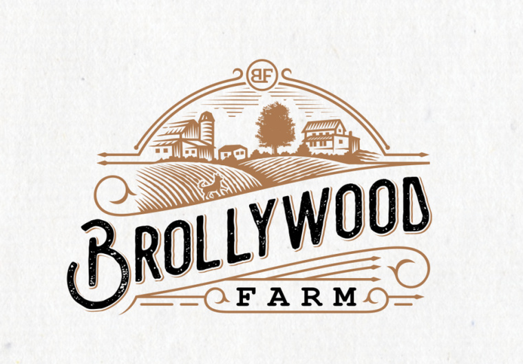 上海標志設計公司-Brollywood農場標志使用一個華麗，但簡單的單色設計