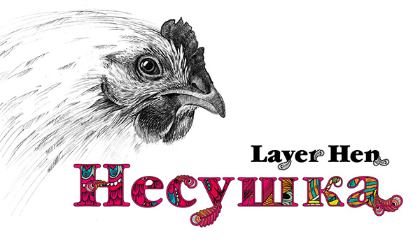 Layer Hen 雞蛋盒包裝設(shè)計(jì)“母雞插畫篇”-上海農(nóng)產(chǎn)品包裝設(shè)計(jì)公司