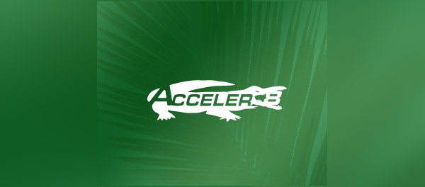 Acceler8生態(tài)系統(tǒng)標(biāo)志設(shè)計(jì)-上海標(biāo)志設(shè)計(jì)公司