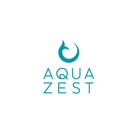 有趣的抽象魚概念logo設計-上海logo設計公司-上海品牌設計公司 有趣的抽象魚概念logo設計-上海logo設計公司-上海品牌設計公司