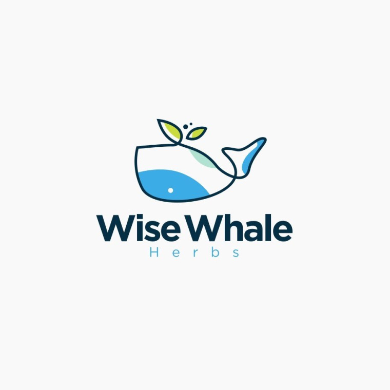 魚吉祥物logo設計-上海logo設計公司-上海品牌設計公司 魚吉祥物logo設計-上海logo設計公司-上海品牌設計公司