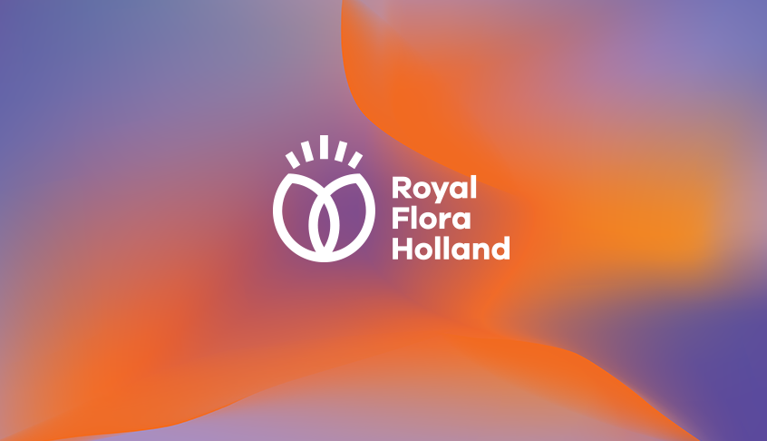 Royal Flora Holland 鮮花花卉種植合作社品牌logo設(shè)計(jì)-上海logo設(shè)計(jì)公司 Royal Flora Holland 鮮花花卉種植合作社品牌logo設(shè)計(jì)-上海logo設(shè)計(jì)公司