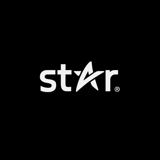 字標式星星logo設計-上海logo設計公司