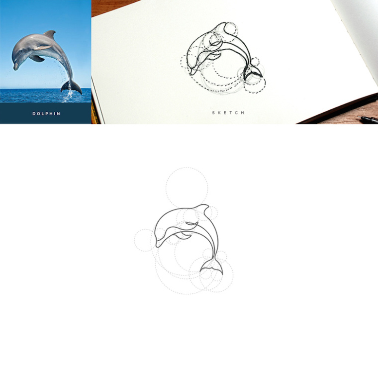 上海logo設計公司分享：基于幾何圓形創作設計的美麗動物標識logo-海豚logo