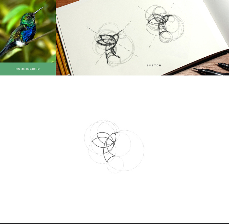 上海logo設計公司分享：基于幾何圓形創作設計的美麗動物標識logo-峰鳥logo