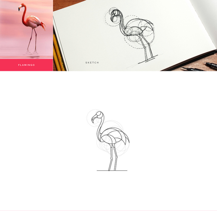 上海logo設計公司分享：基于幾何圓形創作設計的美麗動物標識logo-鴕鳥logo