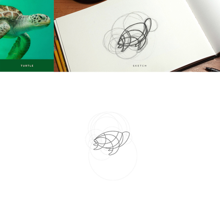 上海logo設計公司分享：基于幾何圓形創作設計的美麗動物標識logo-烏龜logo