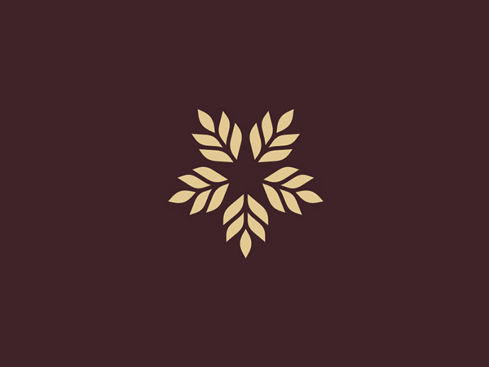 上海logo設計公司2016-2017年50個絕佳創意logo設計案例欣賞-小麥+星logo