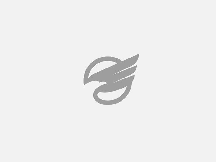 上海logo設計公司2016-2017年50個絕佳創意logo設計案例欣賞-鷹 logo