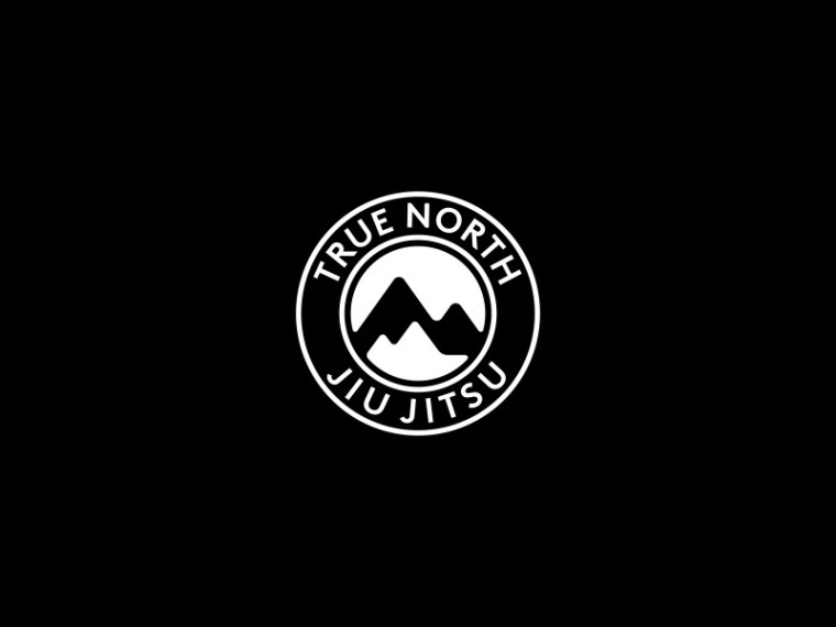 35個創意大山logo設計靈感的集合-尚略logo設計公司