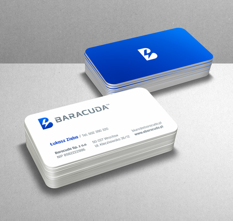 Baracuda Sp工業(yè)服務品牌形象設計-VI設計--上海品牌VI設計公司