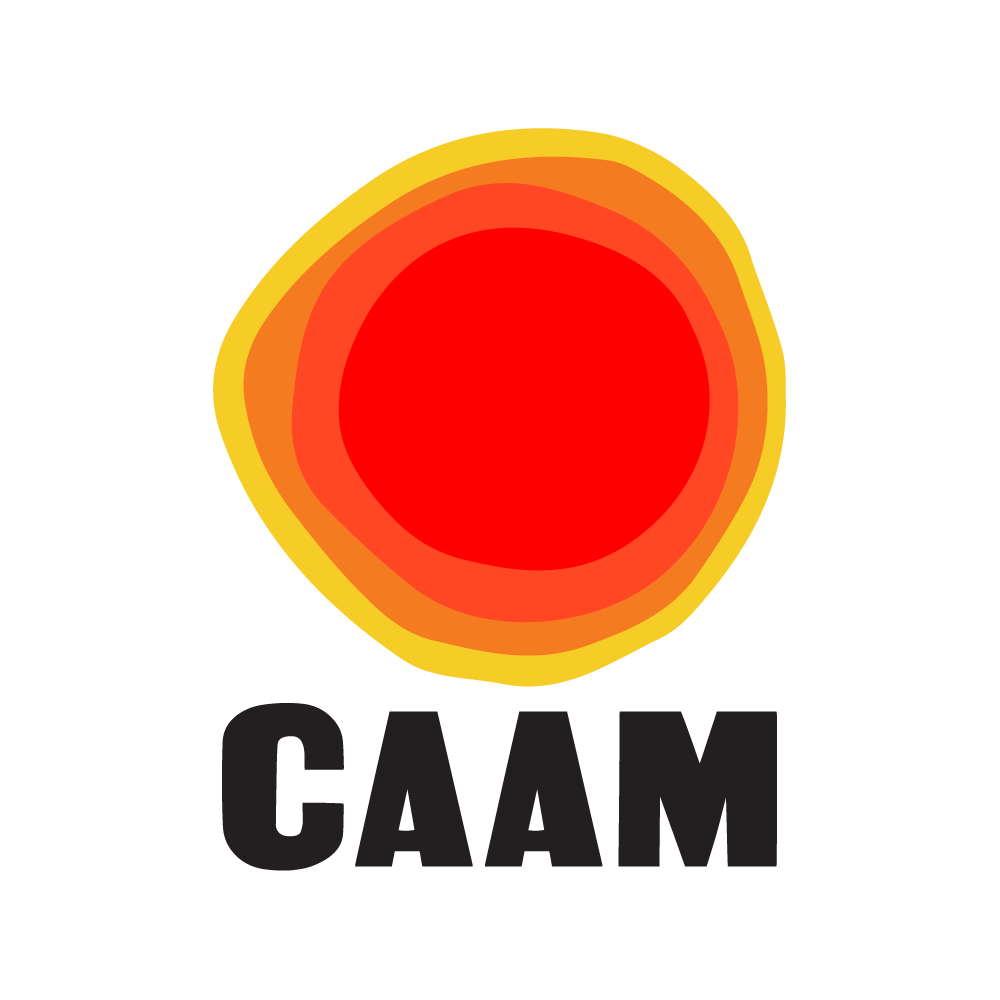加州非裔美國人博物館品牌logo設計與視覺形象識別設計--上海品牌logo設計公司