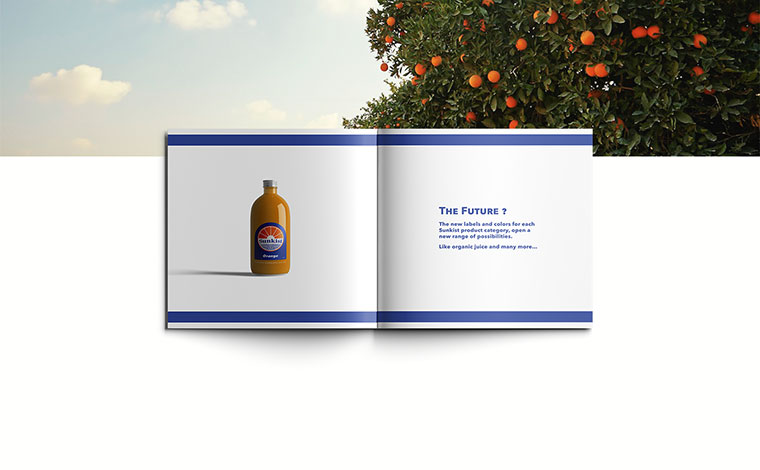 Sunkist 水果品牌logo設(shè)計VI設(shè)計-上海logo設(shè)計VI設(shè)計公司
