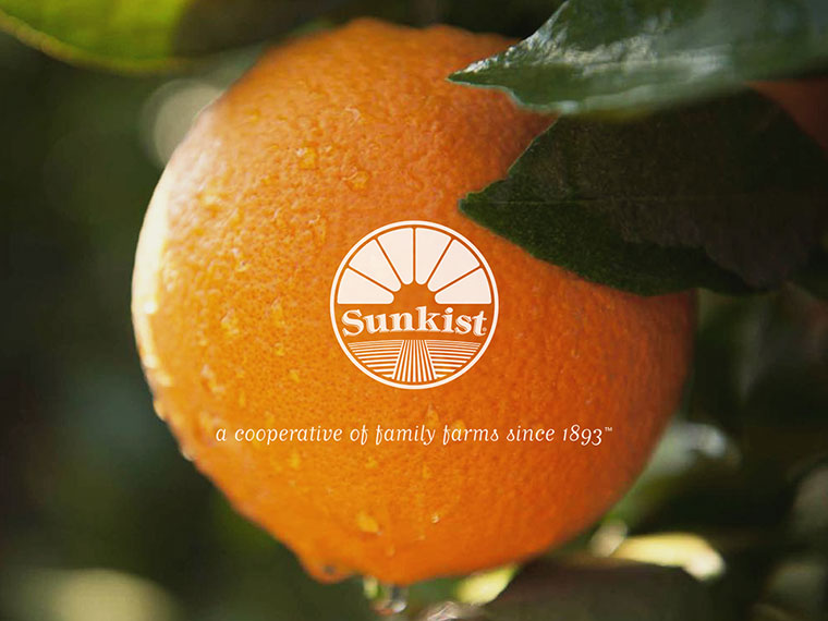 Sunkist 水果品牌logo設(shè)計VI設(shè)計-上海logo設(shè)計VI設(shè)計公司