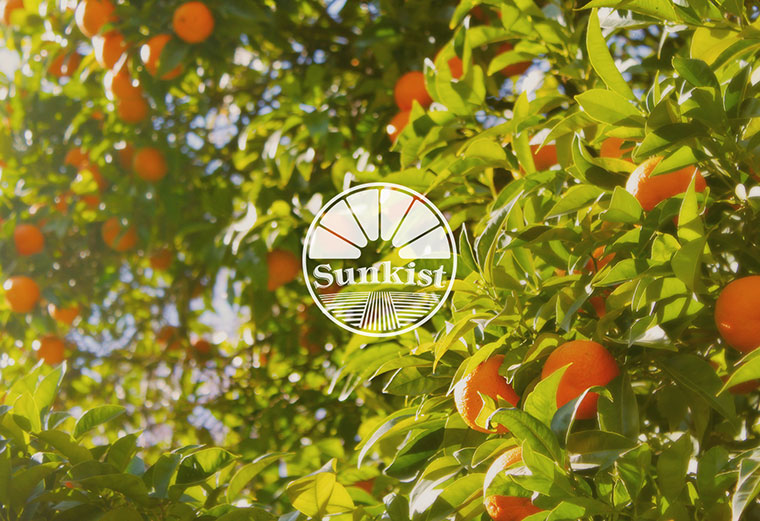 Sunkist 水果品牌logo設(shè)計-上海logo設(shè)計