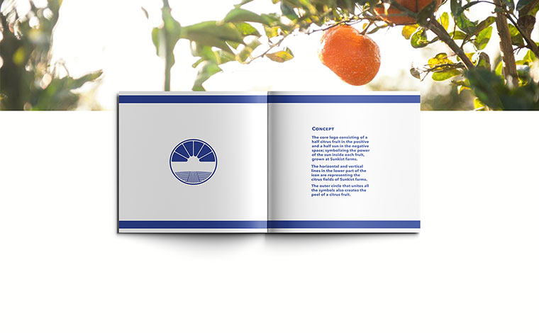 Sunkist 水果品牌logo設(shè)計VI設(shè)計-上海logo設(shè)計VI設(shè)計公司