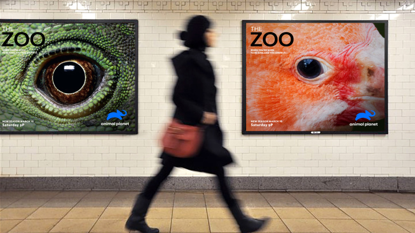 Haviv的動物星球電視頻道新logo設計,與地球同在的大象 Haviv的動物星球電視頻道新logo設計,與地球同在的大象