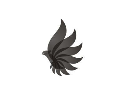 扇形黑色羽毛的logo設計