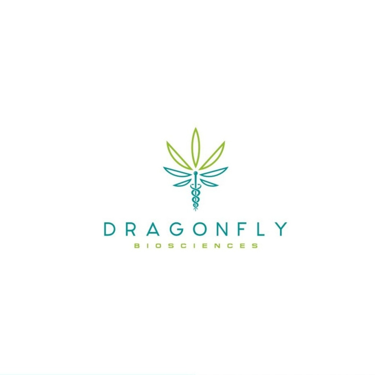 神秘的手杖醫療醫院標志設計-上海標志設計公司靈感