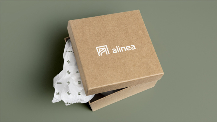 Alinéa法國家具裝飾公司商場標(biāo)識logo設(shè)計(jì)與vi形象設(shè)計(jì)-包裝盒子