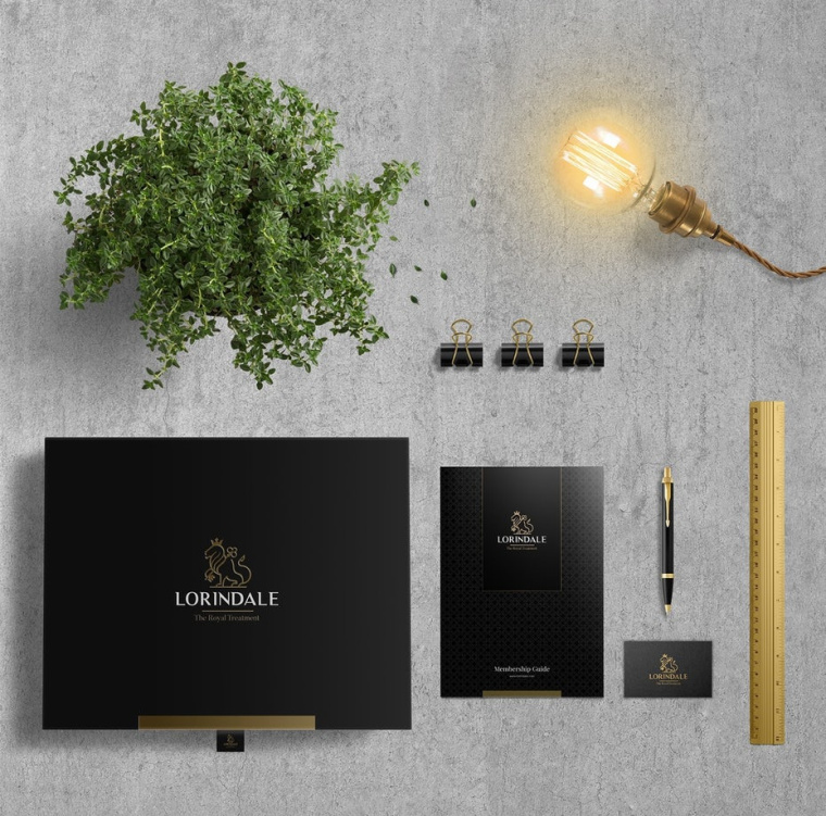 一個完整的企業形象設計標識logo設計由許多應該一起工作的元素組成