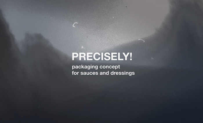 Precisely!醬料調料的包裝設計瓶型設計-上海包裝設計公司