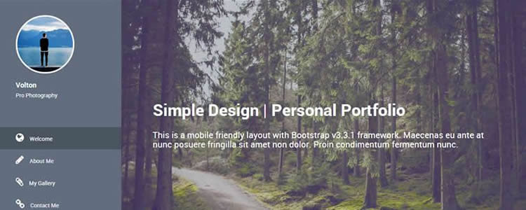 volton自由設計師撰稿人垂直菜單html5模板網站響應